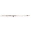 Trevor James VV-HROE Virtuoso Series Open-Hole Silver Flute Discount