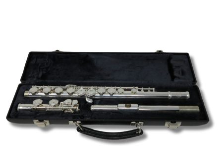 Used Anthem Economy Flute Cheap