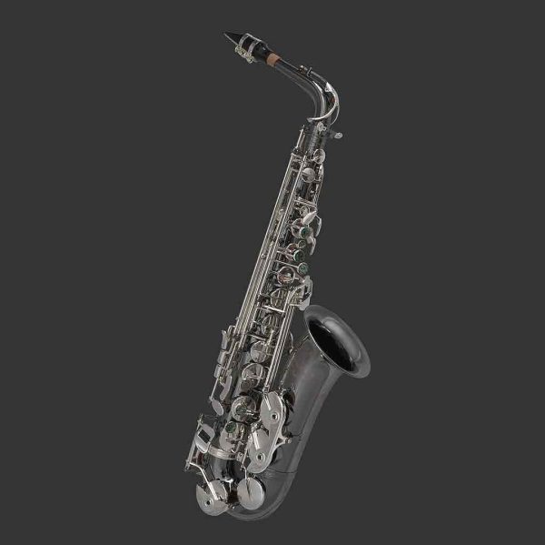 Pre-Owned Cannonball ASCEPBS Sceptyr Semi-Pro Alto Sax Hot on Sale