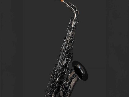 Pre-Owned Cannonball A4B Professional Alto Saxophone For Discount