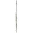 Yamaha YFL-677HCT Professional Open Hole Flute Supply