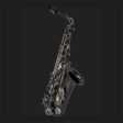 Pre-Owned Cannonball Professional Alto Sax A5-BS Big Bell Stone Series Hot on Sale