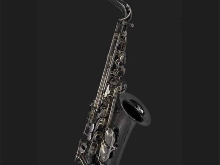 Pre-Owned Cannonball Professional Alto Sax A5-BS Big Bell Stone Series Hot on Sale