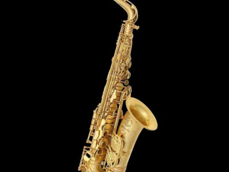 Pre-Owned Cannonball  Mad Meg Pro Alto Saxophone Big Bell Stone Series A4 Sale