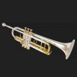 Pre-Owned Cannonball 826 Artist Bb Professional Trumpet Online now