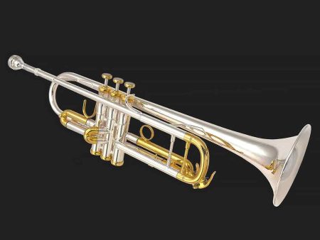 Pre-Owned Cannonball 826 Artist Bb Professional Trumpet Online now