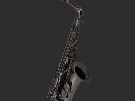 Pre-Owned Cannonball A5-B Big Bell Stone Series Premium Alto Sax - Polished Black-Nickel Supply