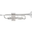 King 2055S Silver Flair Silver-Plated Bb Trumpet Online Hot Sale